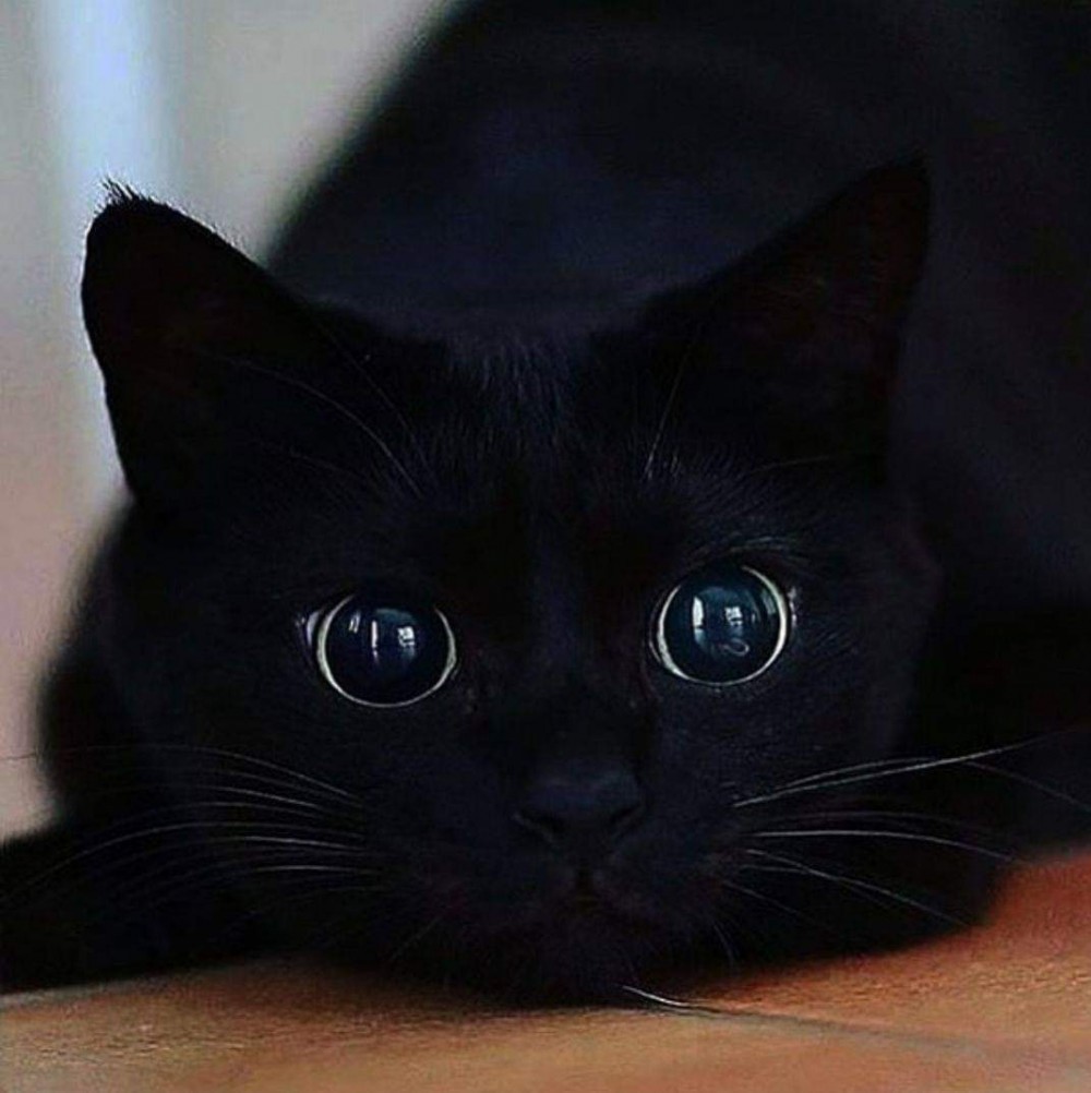 author photo