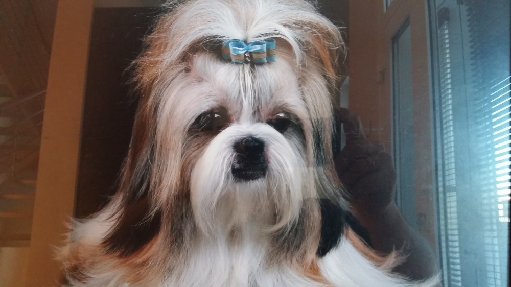 author photo